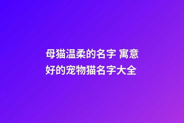 母猫温柔的名字 寓意好的宠物猫名字大全